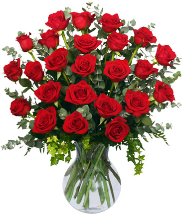 24 Radiant Roses Red Roses Arrangement in Southfield, MI | Southfield Flowers