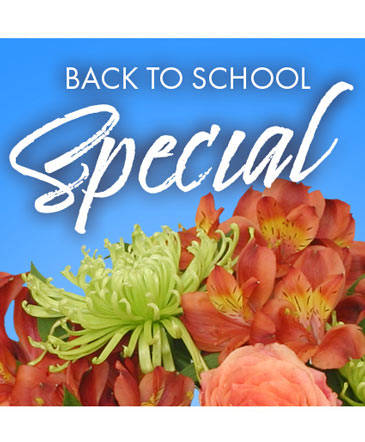 Back to School Special Designer's Choice in Southfield, MI | Southfield Flowers