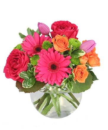 Be Lovable Arrangement in Southfield, MI | Southfield Flowers