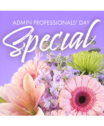 Beautiful Admin Special Designer's Choice in Southfield, MI | Southfield Flowers