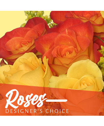 Beautiful Roses Designer's Choice in Southfield, MI | Southfield Flowers