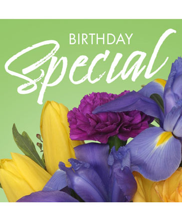 Birthday Special Designer's Choice in Southfield, MI | Southfield Flowers