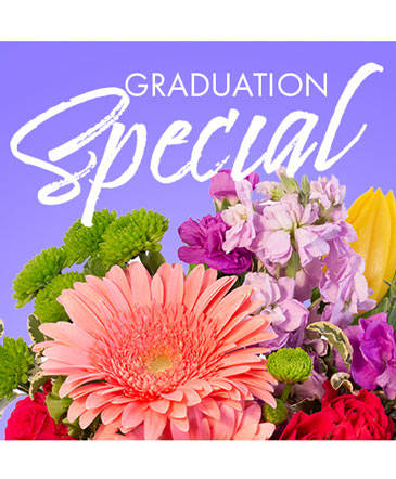 Graduation Special Designer's Choice in Southfield, MI | Southfield Flowers