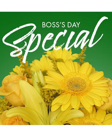 Boss's Day Special Designer's Choice in Southfield, MI | Southfield Flowers