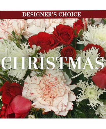 Christmas Flower Arrangement Designer's Choice in Southfield, MI | Southfield Flowers