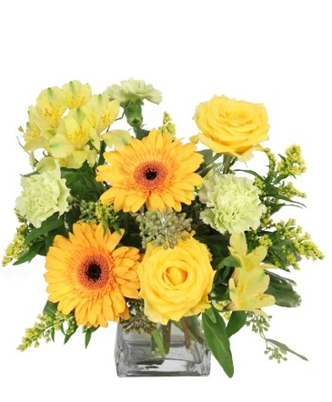 Citrus Symphony Floral Arrangement in Southfield, MI | Southfield Flowers