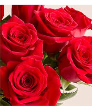 CLASSIC ROSES (NO VASE-WRAPPED BOUQUET STYLE) ROSE CLASSIC ROSES (NO VASE-WRAPPED BOUQUET STYLE) ROSES