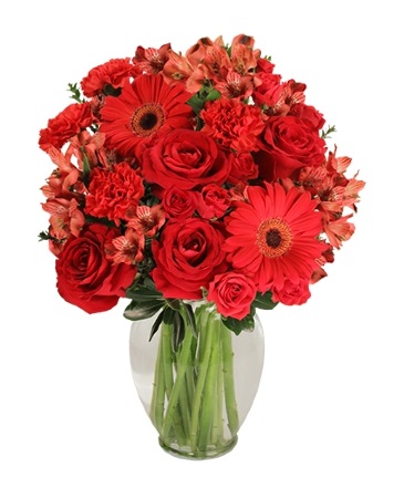 Charismatic Crimson Floral Arrangement in Southfield, MI | Southfield Flowers