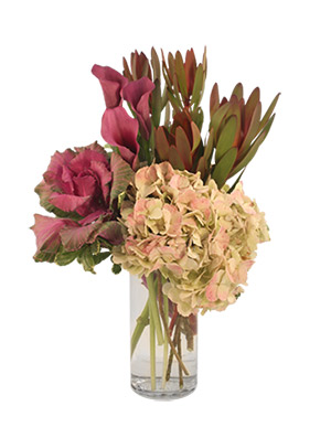 Dream Weaver Arrangement