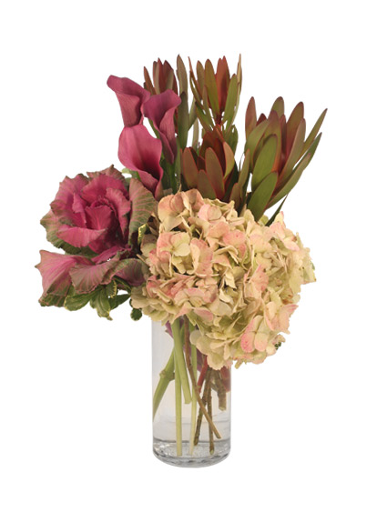 Dream Weaver Arrangement