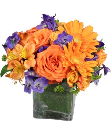 Enthusiasm Blossoms Bouquet in Southfield, MI | Southfield Flowers
