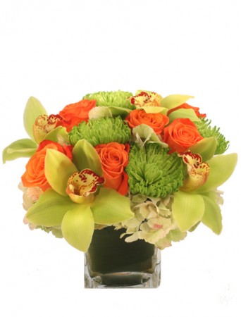 Exotic Greenness Bouquet in Southfield, MI | Southfield Flowers
