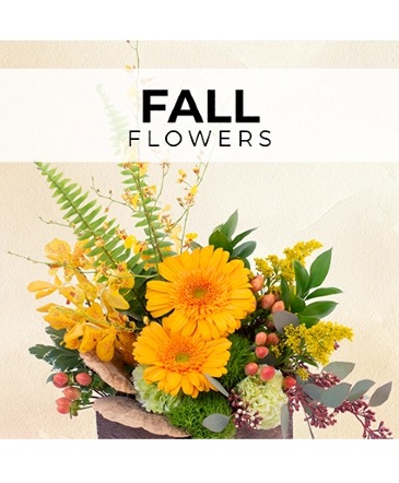 Fall Florist’s Pick Designer's Choice in Southfield, MI | Southfield Flowers