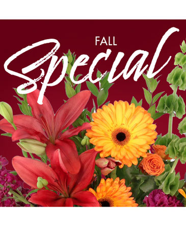 Fall Special Designer's Choice in Southfield, MI | Southfield Flowers