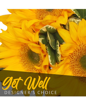 Get Well Bouquet Designer's Choice in Southfield, MI | Southfield Flowers