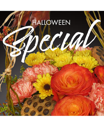 Halloween Special Designer's Choice in Southfield, MI | Southfield Flowers