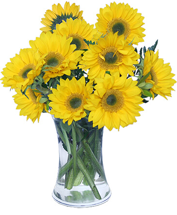 Hello Sunshine! Vase of Flowers in Southfield, MI | Southfield Flowers