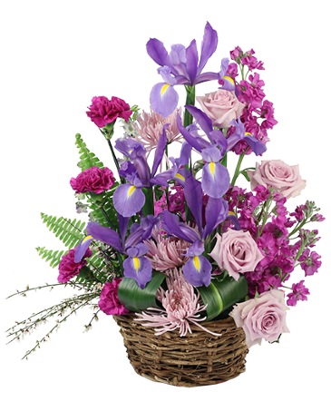 Iris Affection Basket Arrangement in Southfield, MI | Southfield Flowers