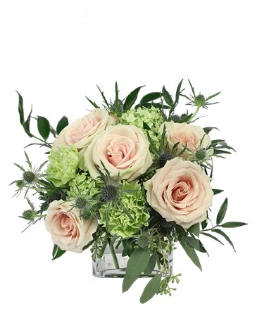 Light Pink Simplicity Rose Arrangement  in Southfield, MI | Southfield Flowers