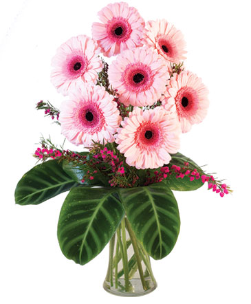 Lucky Seven Gerberas Floral Design in Southfield, MI | Southfield Flowers