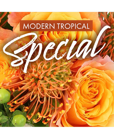 Modern Tropical Special Designer's Choice in Southfield, MI | Southfield Flowers