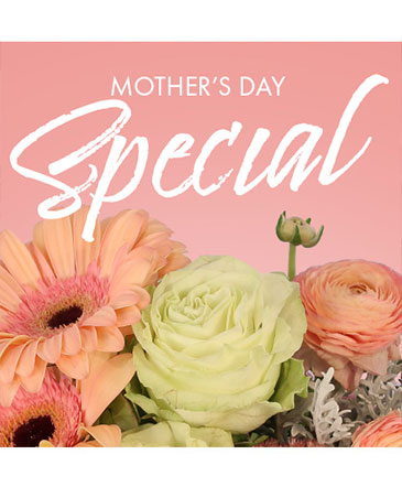 Mother's Day Special Designer's Choice in Southfield, MI | Southfield Flowers