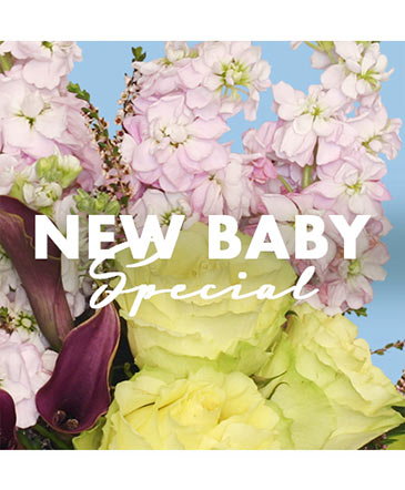 New Baby Special Designer's Choice in Southfield, MI | Southfield Flowers
