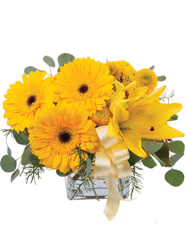 Petite Yellow Flower Arrangement in Southfield, MI | Southfield Flowers