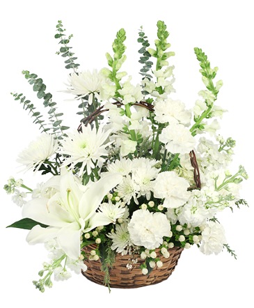 Quiet Nights Basket Arrangement in Southfield, MI | Southfield Flowers