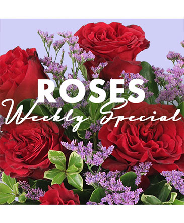 Rose Special Designer's Choice in Southfield, MI | Southfield Flowers
