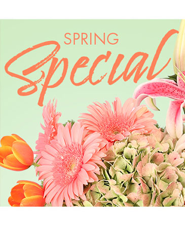Special of Spring Florals Designer's Choice in Southfield, MI | Southfield Flowers