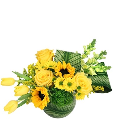 Splendid Sunshine Vase Arrangement in Southfield, MI | Southfield Flowers