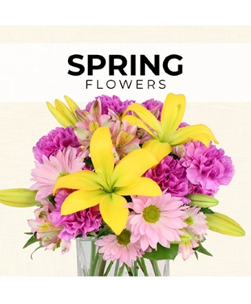 Spring Florist’s Pick Designer's Choice in Southfield, MI | Southfield Flowers