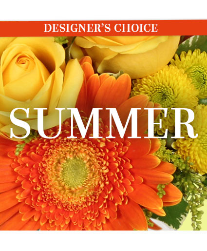 Summer Special Designer's Choice