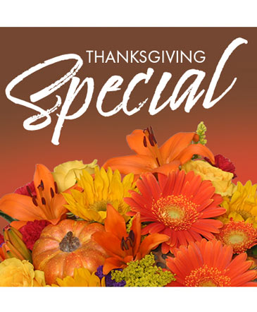 Thanksgiving Special Designer's Choice in Southfield, MI | Southfield Flowers
