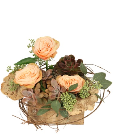 Tranquil Grove House Plant in Southfield, MI | Southfield Flowers