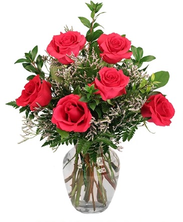 Vibrant Fuchsia Roses Rose Arrangement in Southfield, MI | Southfield Flowers