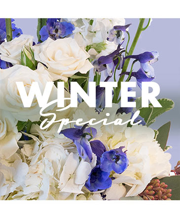 Winter Special Designer's Choice in Southfield, MI | Southfield Flowers